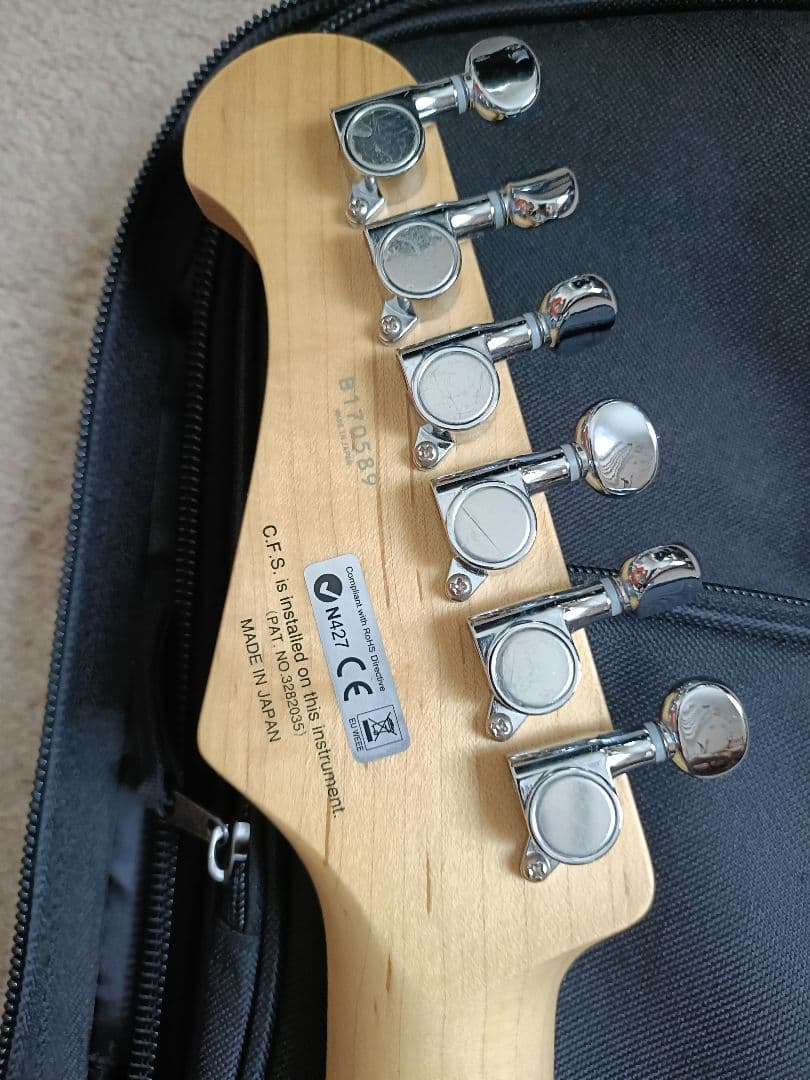 ギター FgN BCST10RBD BLK basic classic