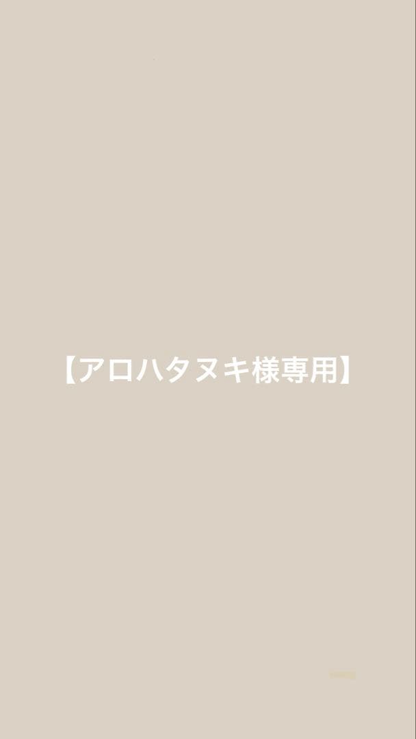 【アロハタヌキ】