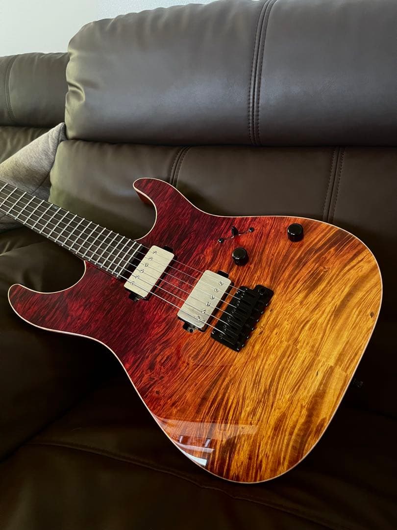 T’s guitars DST-Pro24,