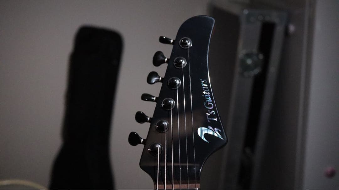 T’s guitars DST-Pro24,