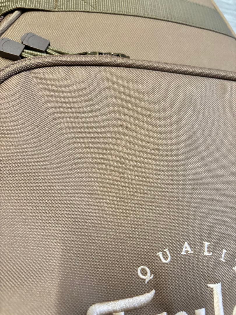 Taylor gs mini エレアコ