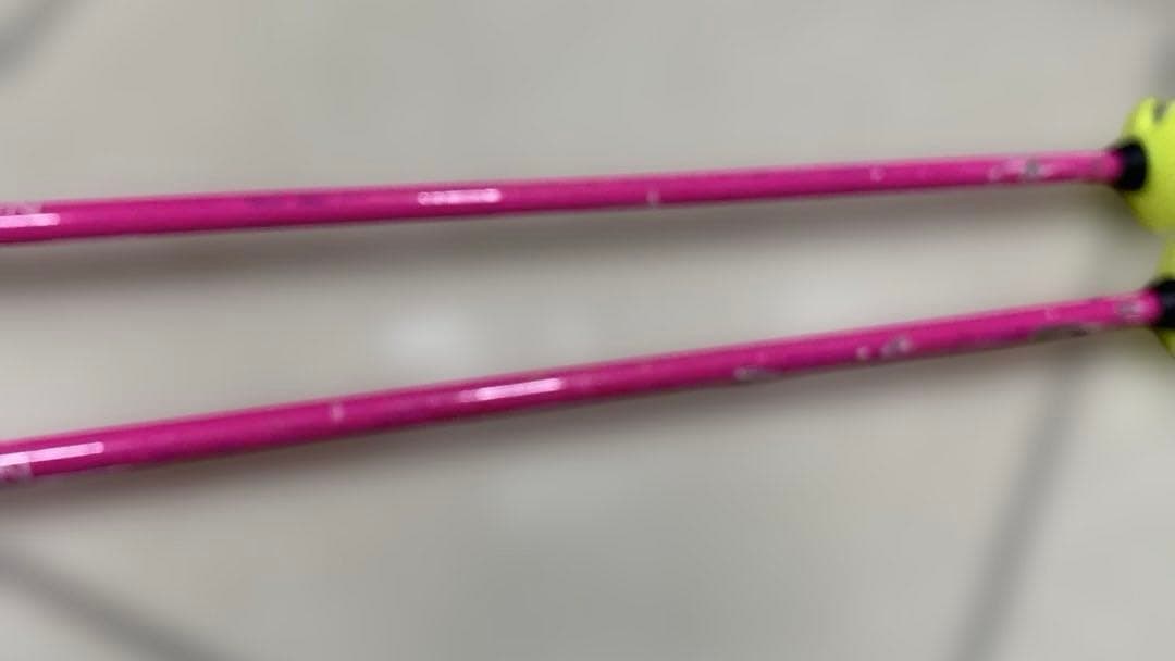 LEKI 2019-20 VENOM SL パンチガード付 カーボン 110cm