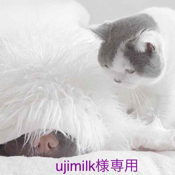 ディオール チーク