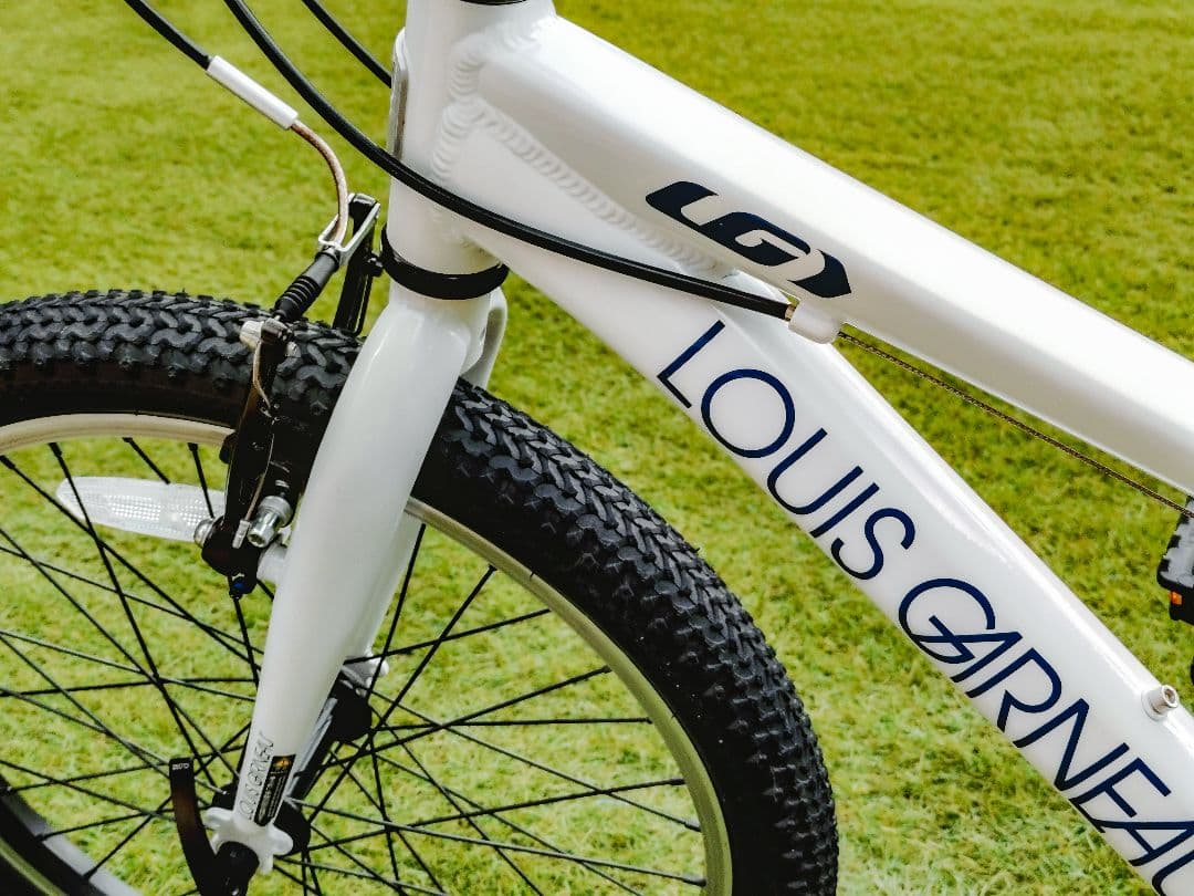 ルイガノ　J20【兵庫県　直接引渡し限定】