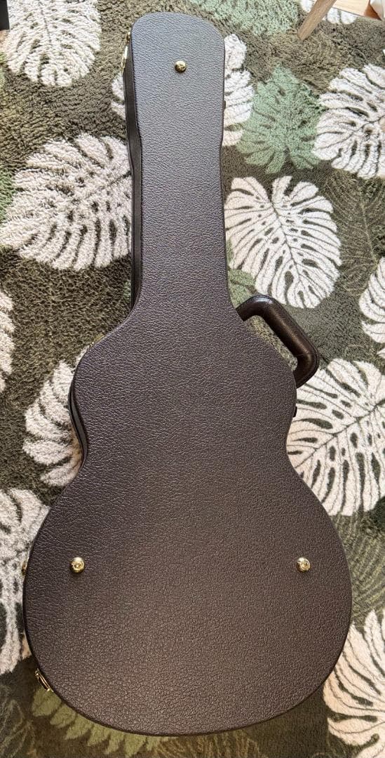 Taylor エレアコ T5 Pro TB