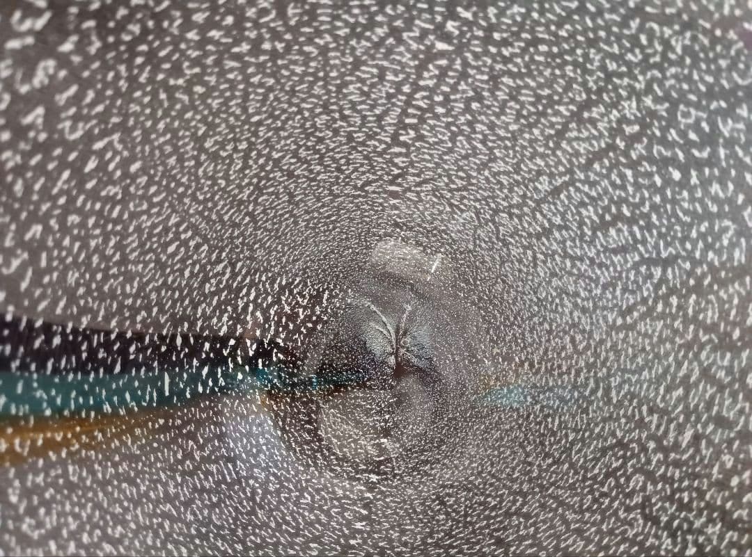 最終価格 ムラーノ ザネッティ MURANO Zanetti 花瓶/置物