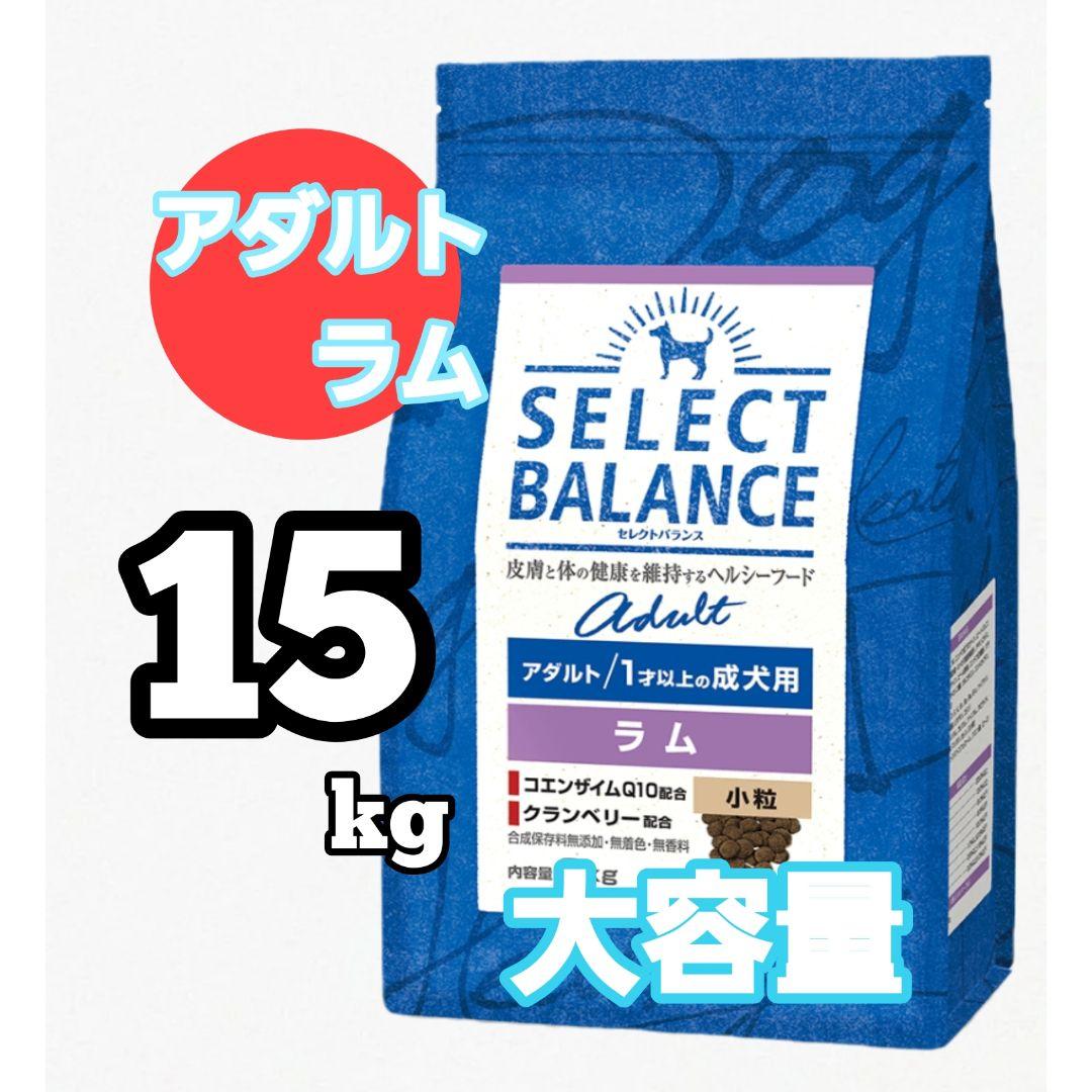 SELECT BALANCE セレクトバランスアダルトラム 15kg