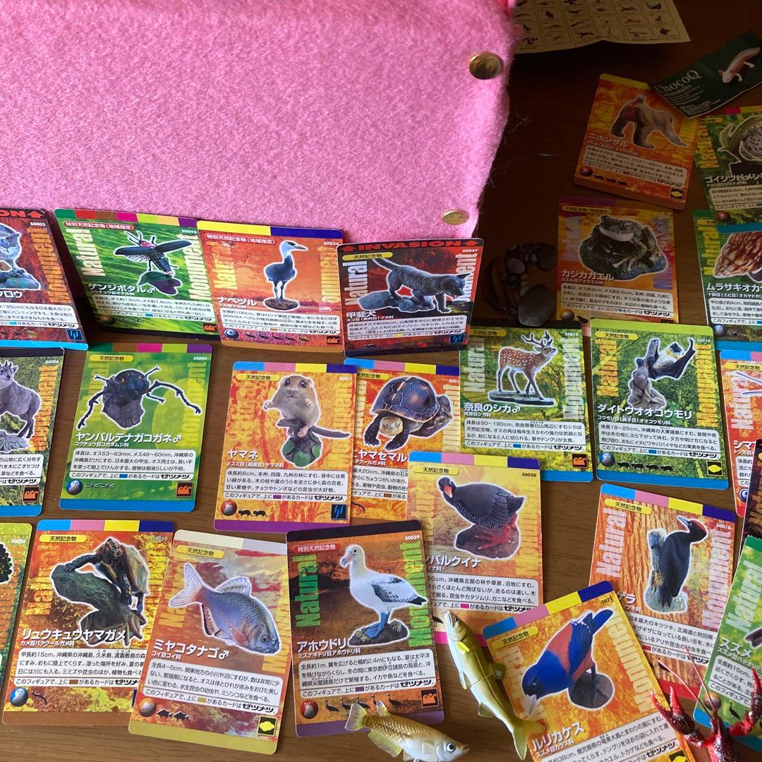 海洋生物動物フィギュアセットわがままな日本の天然記念物カード50枚以上特別ケース