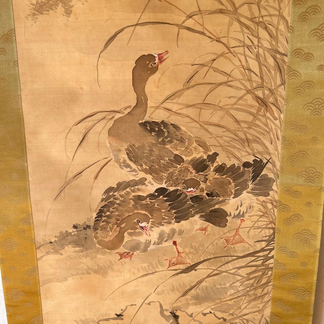 日本画掛軸　椿椿山