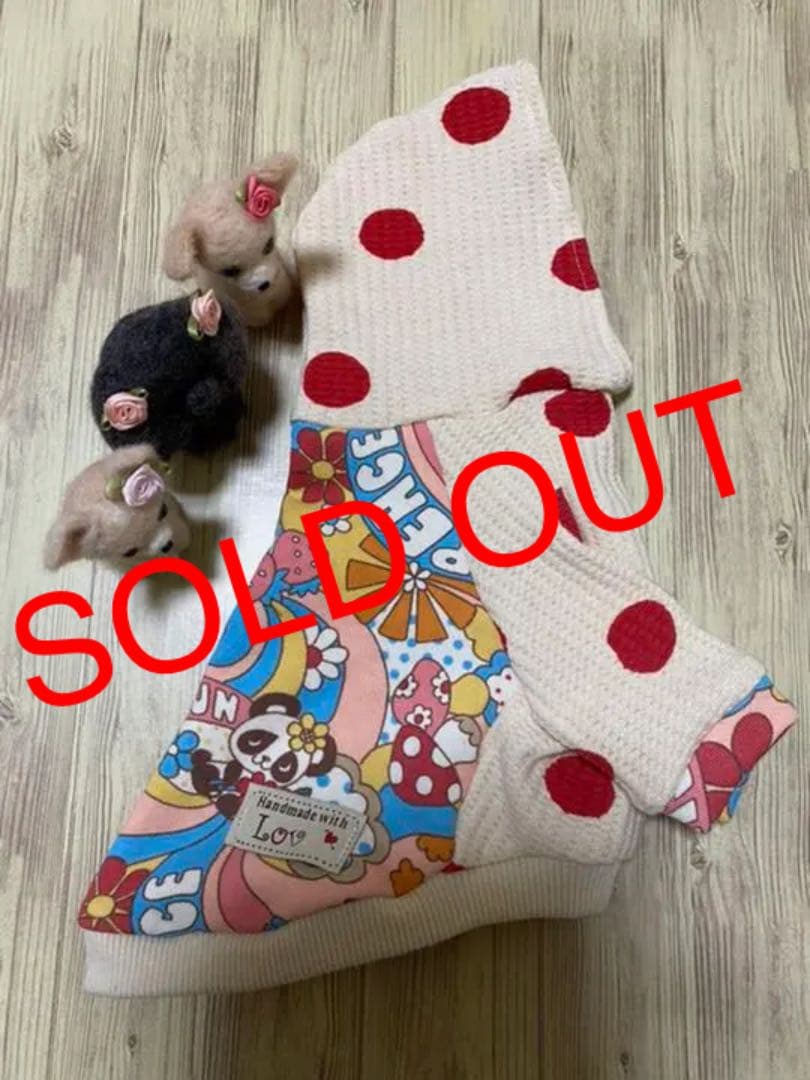 犬服  ラグランフード(Ｓ)   ꒡̈⃝Lily꒡̈⃝ハンドメイド