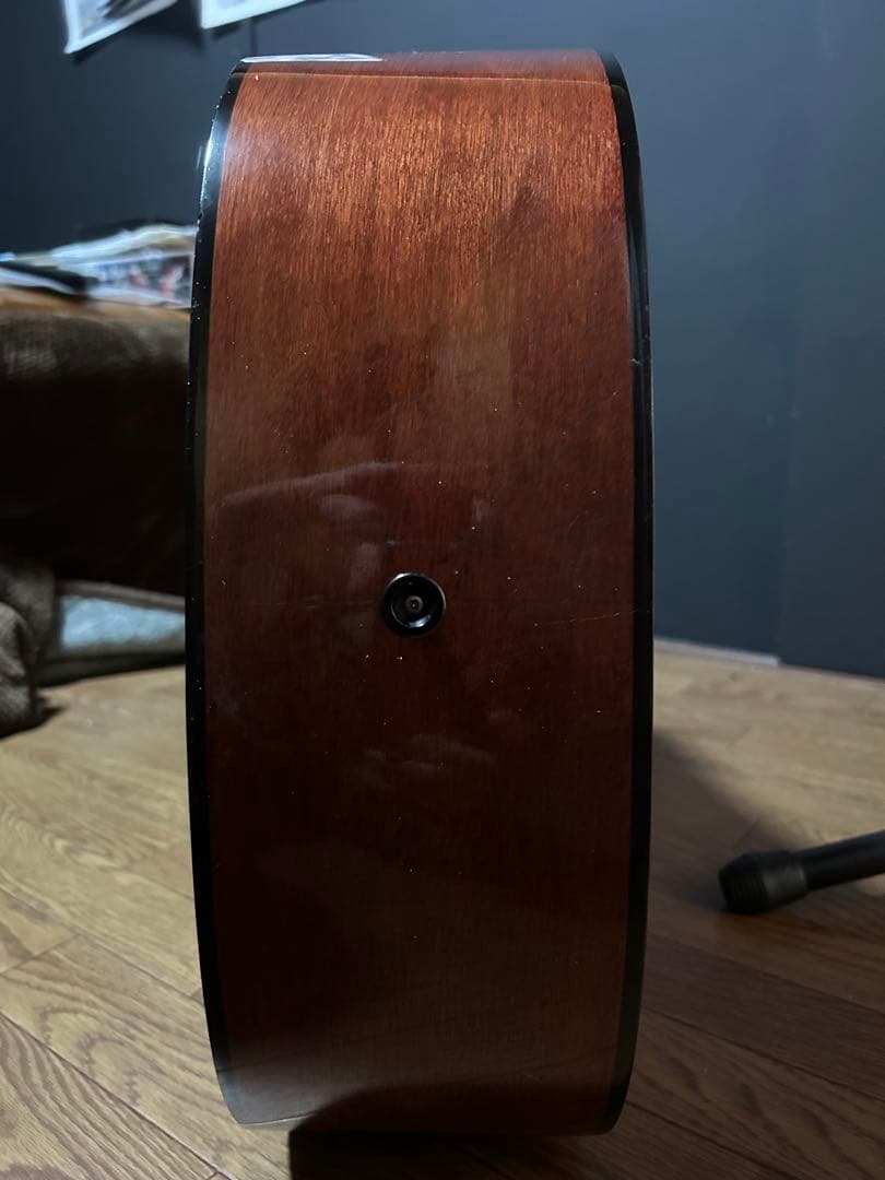 TAMINE ＴＤ２３　オールマホガニーボディ