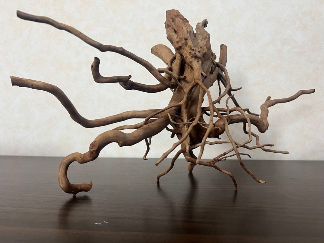 22321 ブランチウッド　流木　アクアリウム 沈水確認済