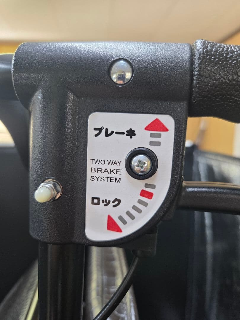 エアウォーカー シルバーカー エアーウォーカー 貴重なクロコ柄