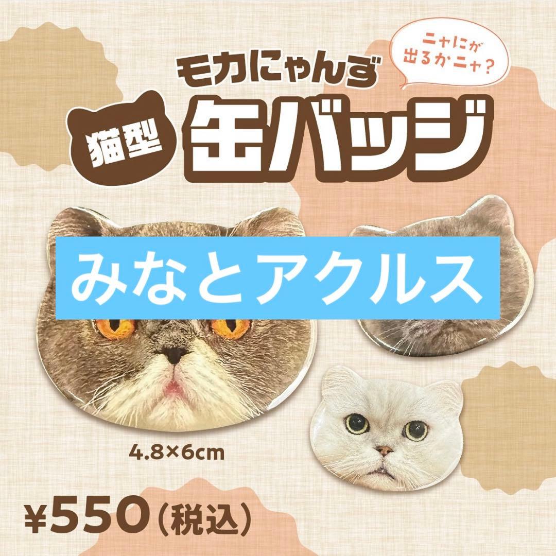 MOCHA にゃんず猫型缶バッジ　ららぽーと名古屋みなとアクルス店