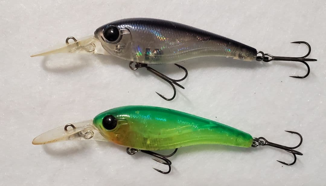 クオン　フローシャッド　セット