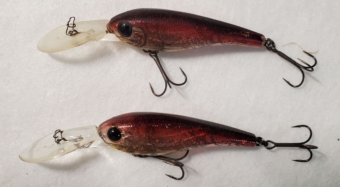 クオン　フローシャッド　セット