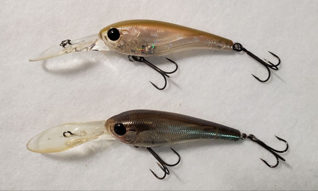 クオン　フローシャッド　セット