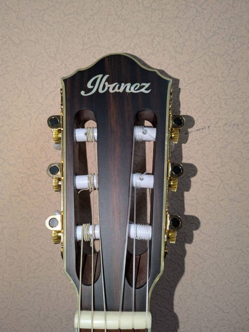 ギター ibanez TOD10N