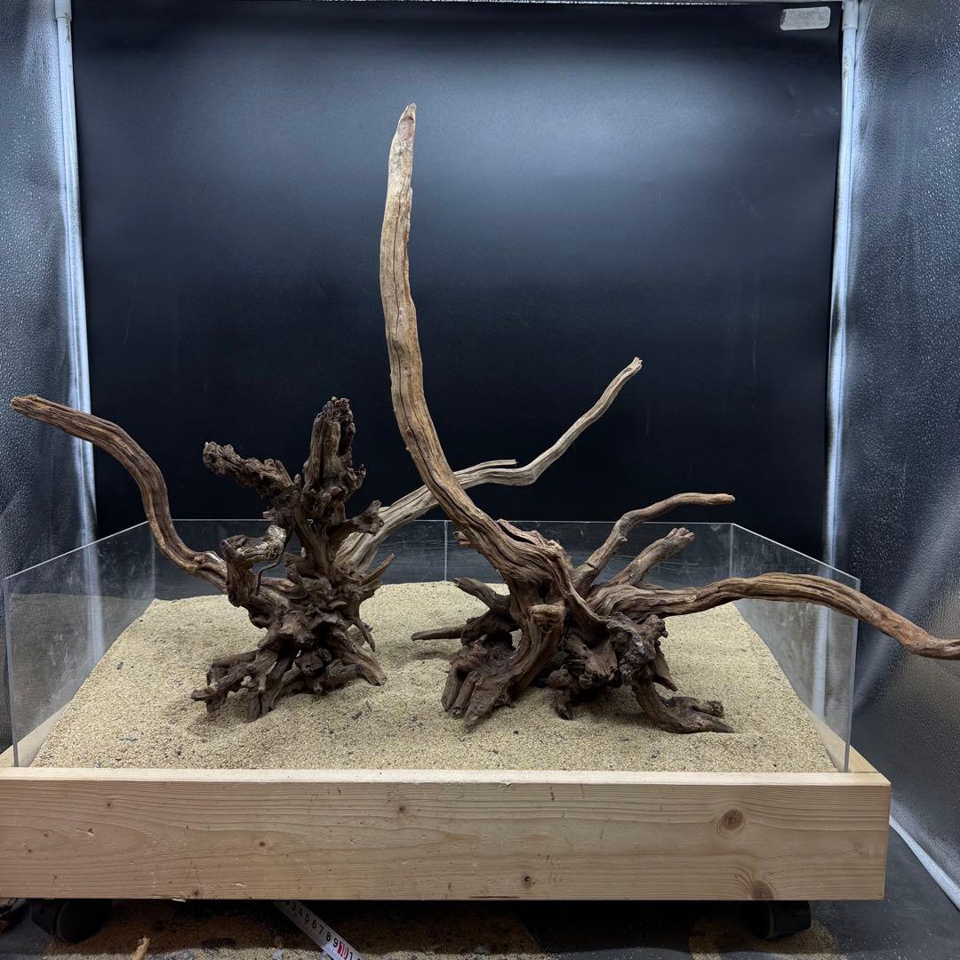 MSRW-7171 天然流木2本セット　スリムウッド　アクアリウム