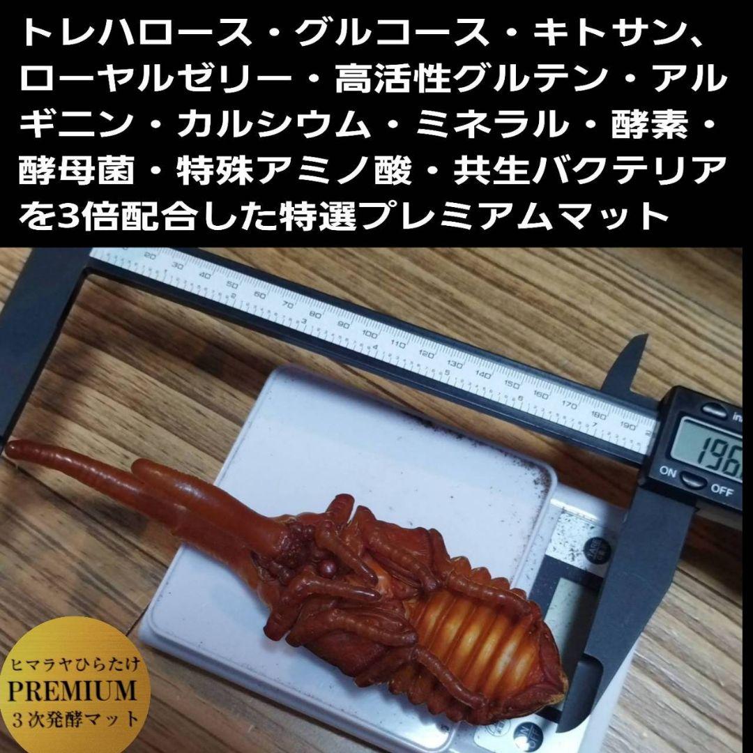 ヘラクレスが巨大化！プレミアム3次発酵カブトムシマット　60リットル　産卵にも！