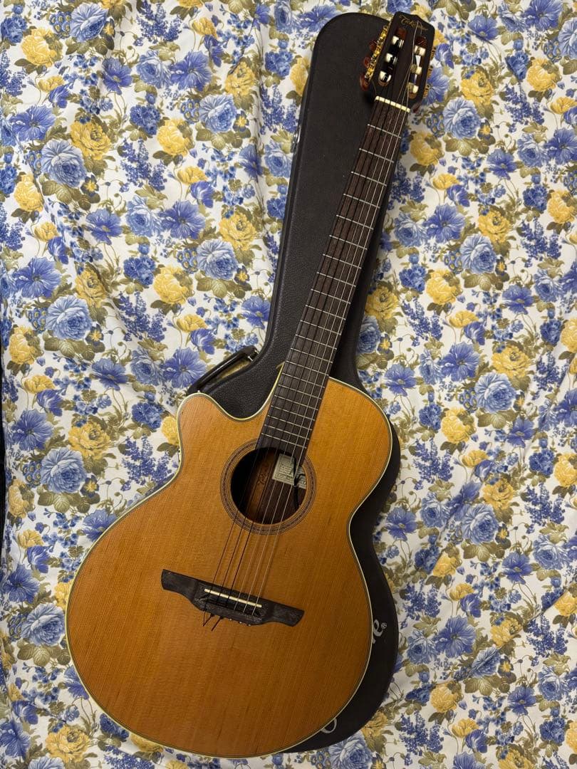 (値引き済み)Takamine型番NTP110N LH 左利き用