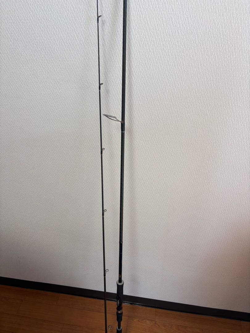 シーバスロッド Shimano ディアルーナs900ML