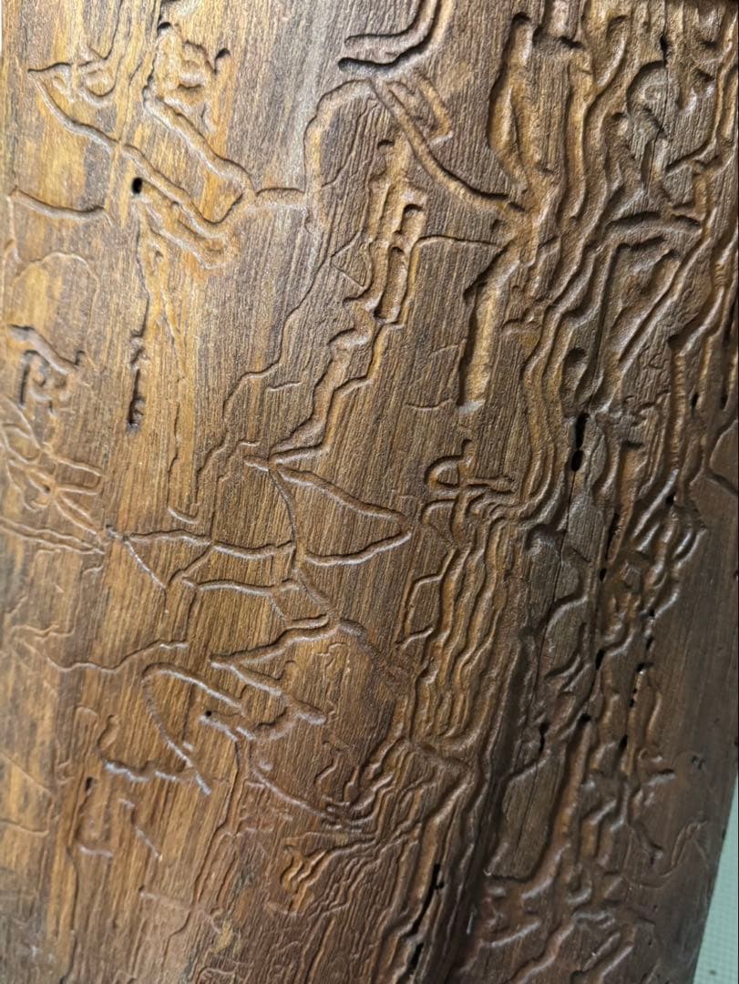 丸太　桶　傘立て　昭和レトロ　70cm 希少