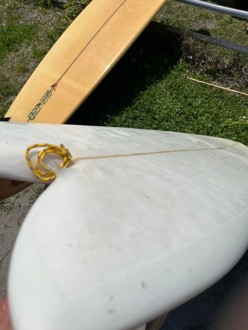 5’4”Sidecut Fish self build