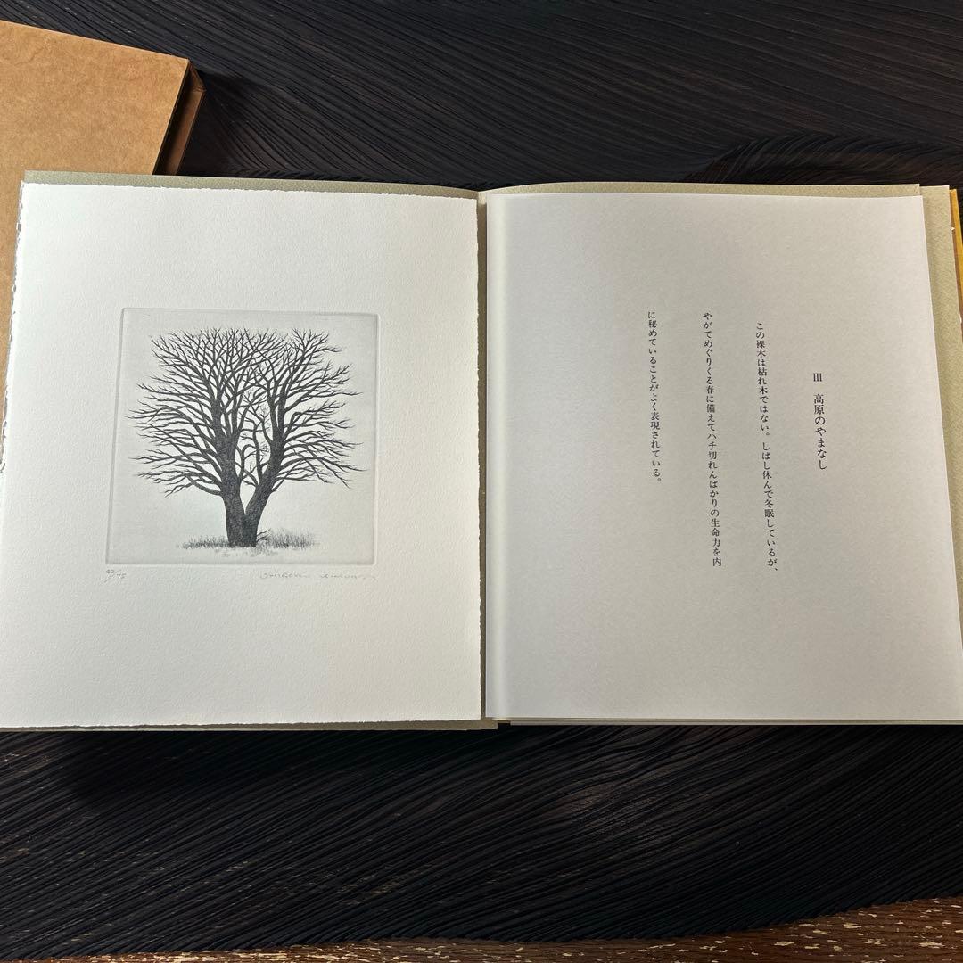 木村茂銅板画集　12枚入り　限定45部