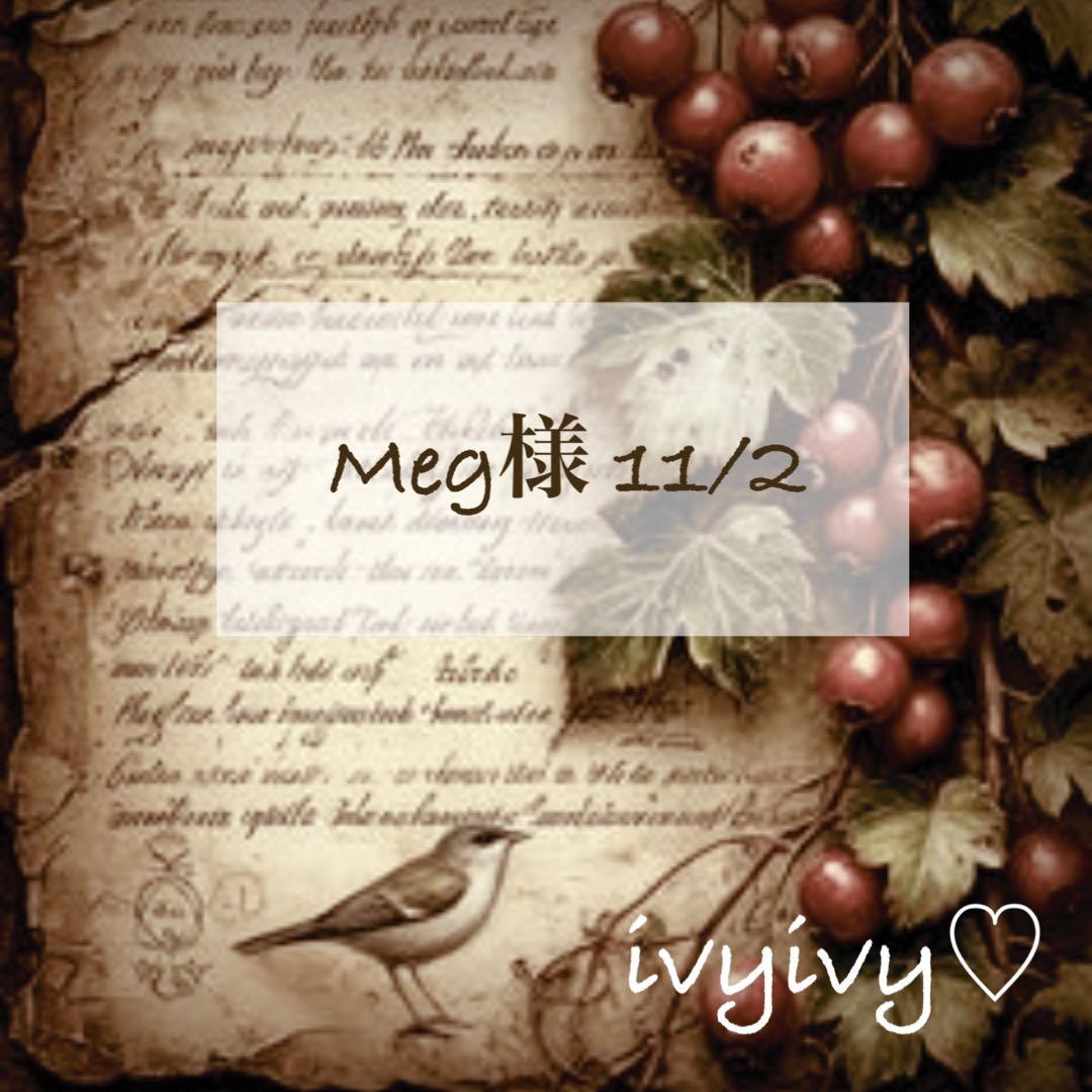 Meg様 11/2⭕️vintage 染め❗️A4 コットンバッグ　鉄錆色スペシャル