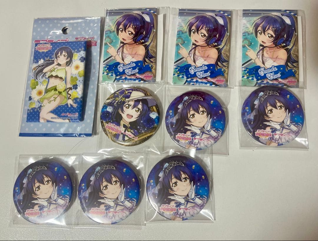 ラブライブ！ μ's 園田海未 缶バッジ　10点セット