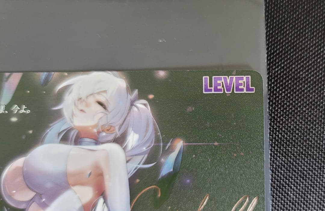 NIKKE NIVEL ARENA　シンデレラ　SPL　リーダー　サイン