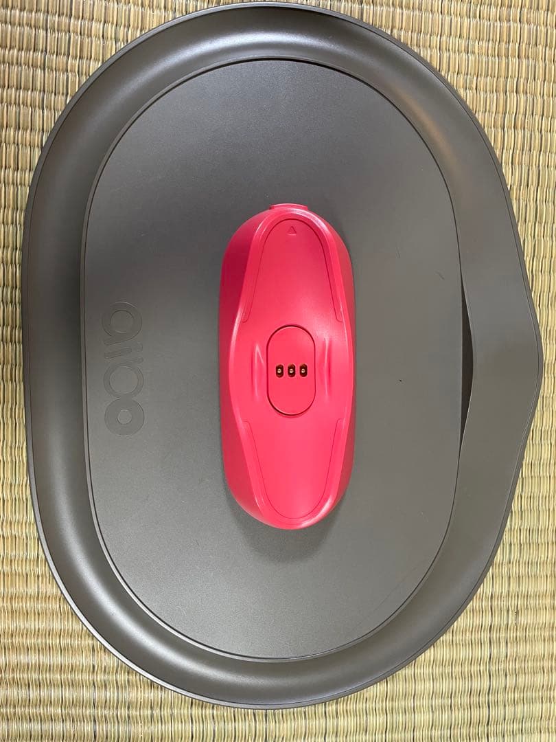 Sony aibo ERS-1000 aibo（アイボ）