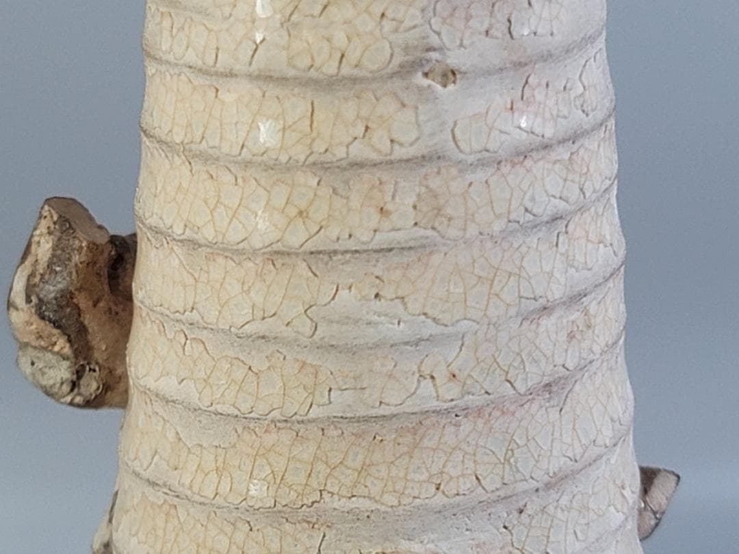 中国美術 遼白磁 纏龍貼 瓶 時代物 DT243