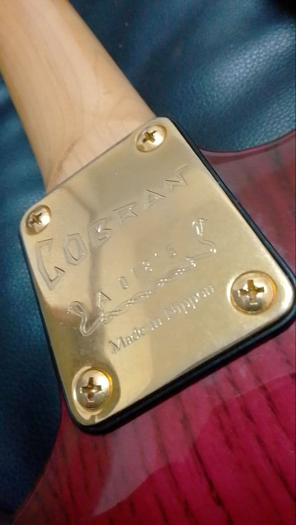 本日終了！Cobran F-G4