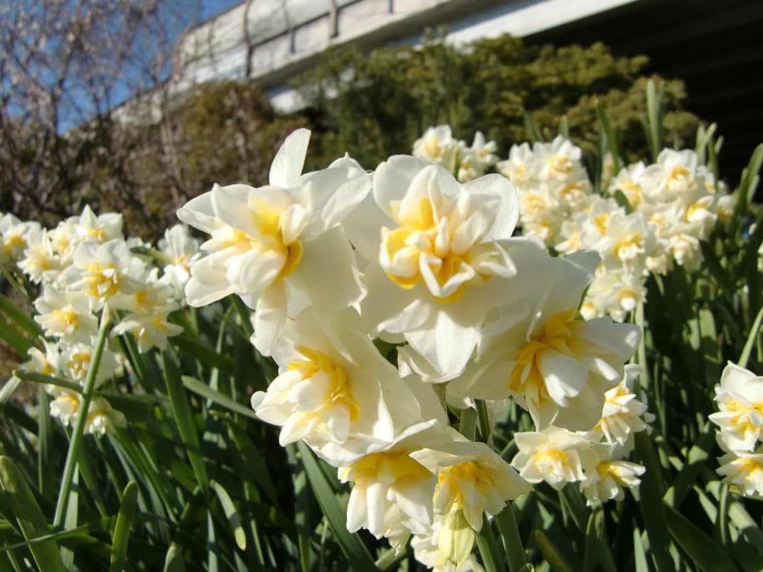 追加あり⭕️【動作確認済】CASIO　EXILIM　EX-Z450　デジカメ