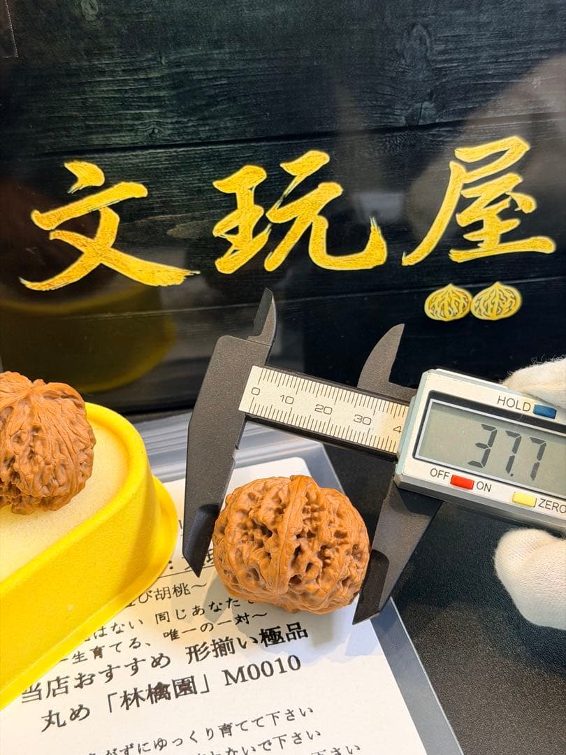 遊び胡桃 林檎園 M0010 形揃いの極品 コレクション 文玩