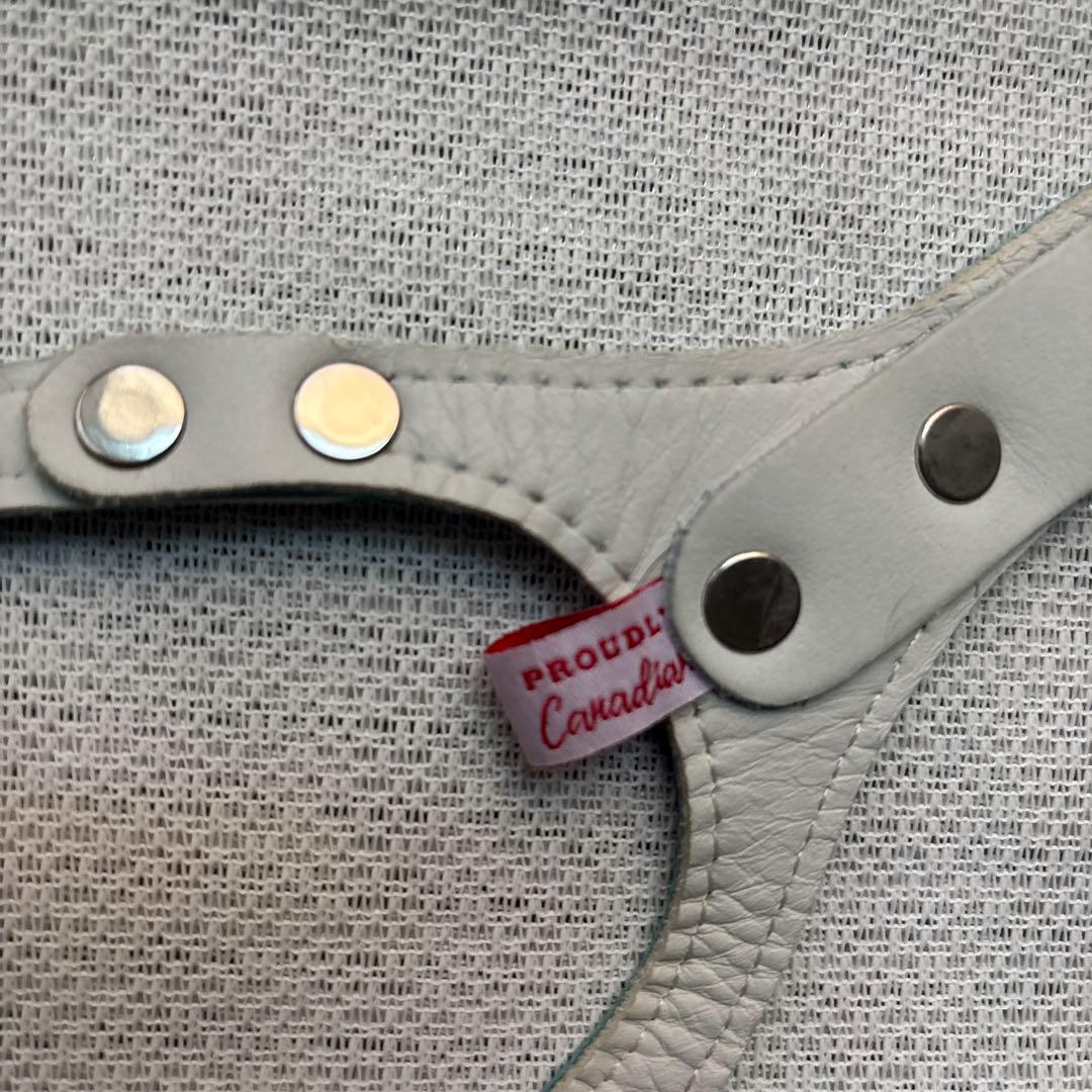 美品バディーベルト&レザーリードセット