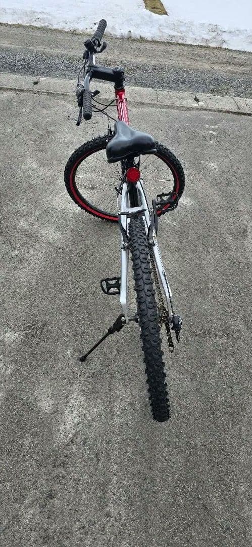 コカ・コーラ　ポルシェデザイン　　マウンテンバイク