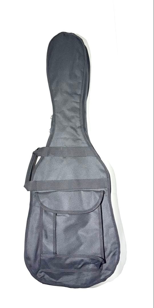 【希少】Aria Pro Ⅱ TS-600 アリアプロ