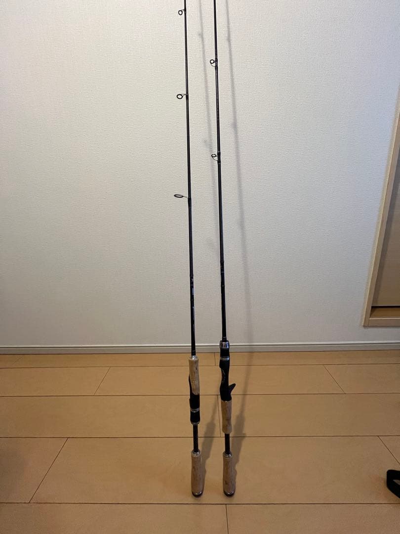 ポイズン　グロリアス　ロッド2本セット