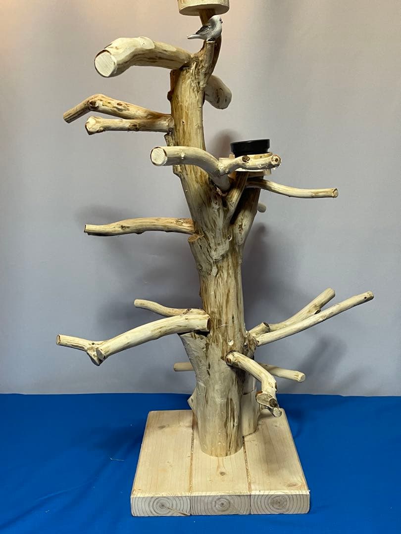 天然木白木バードジム75センチ