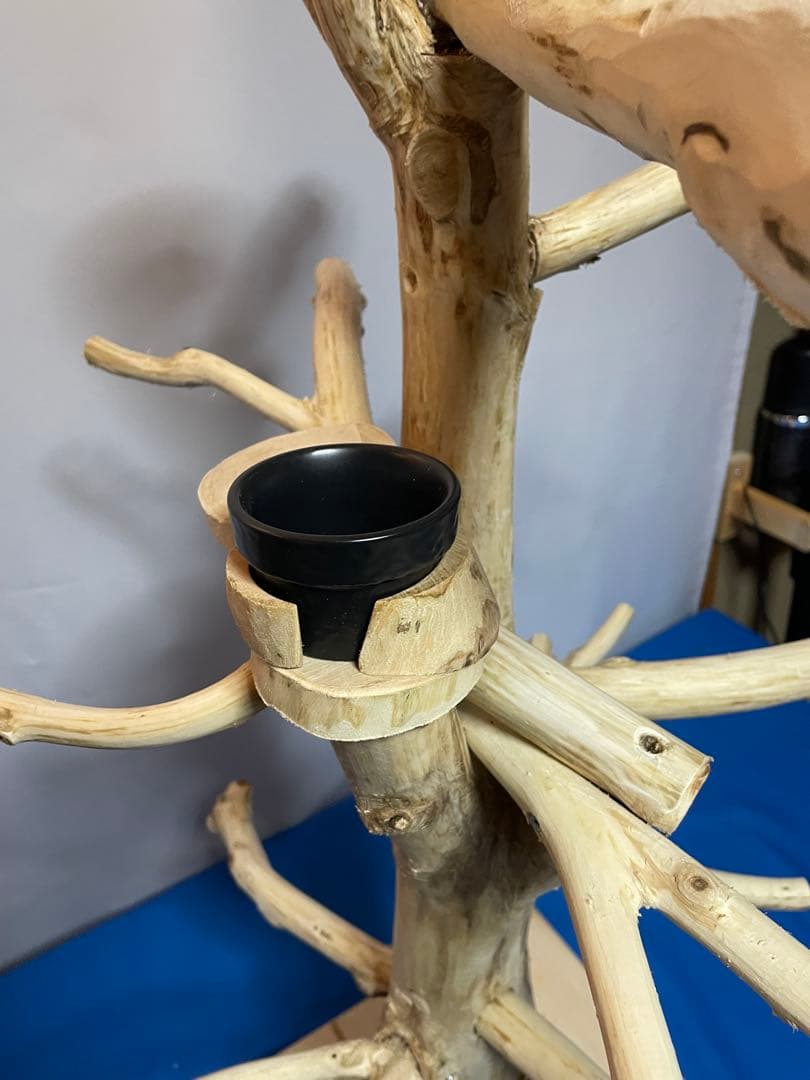 天然木白木バードジム75センチ