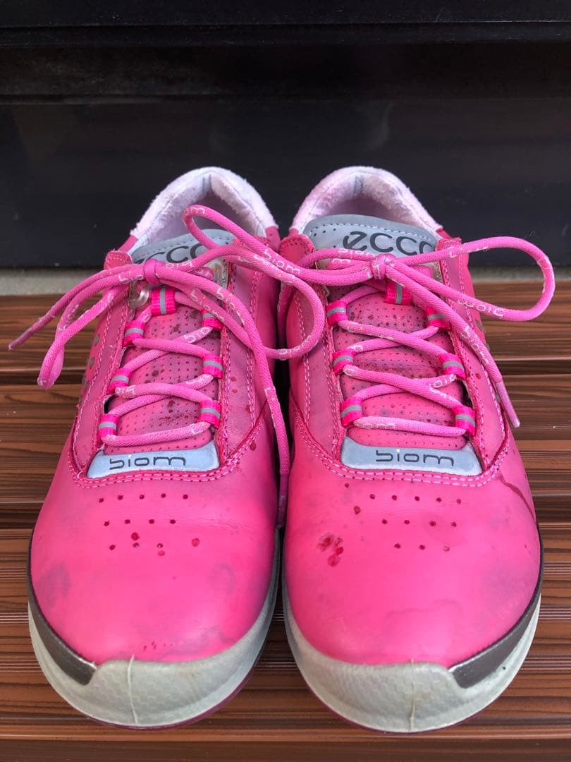 ECCOゴルフシューズ 36 23.0cm紐式 スパイクレス