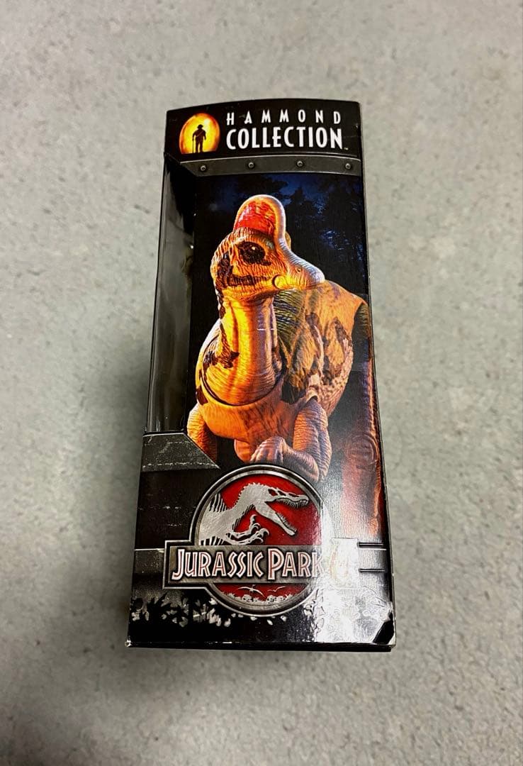 ハモンドコレクション　コリトサウルス マテル　日本未販売