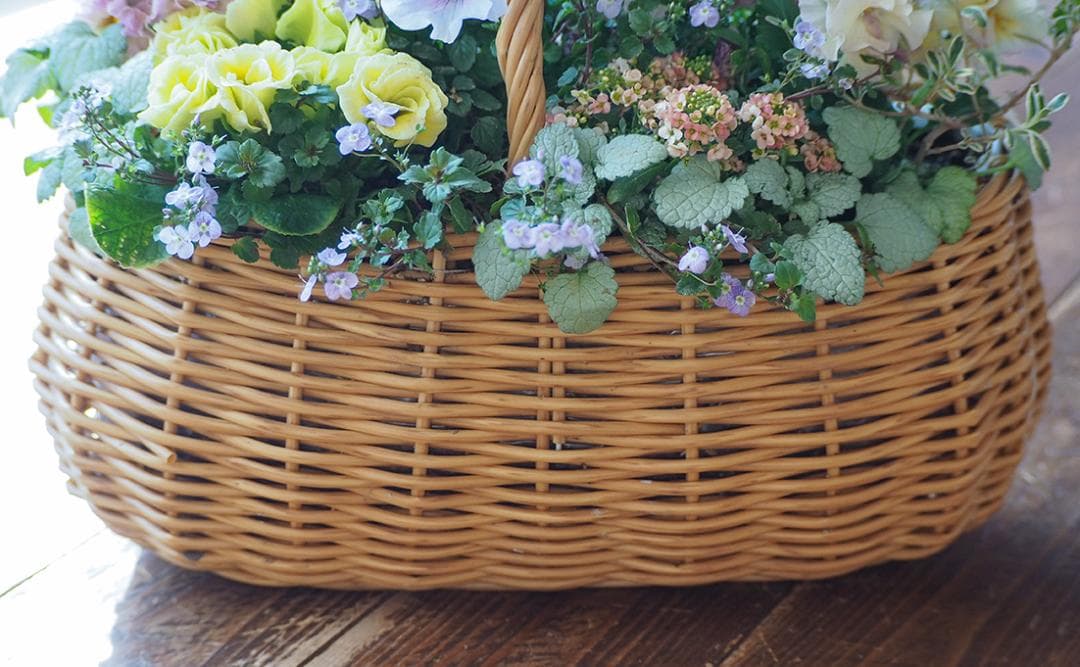 オーバルバスケットのパステルカラー寄せ植え
