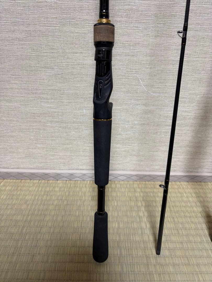 バスロッド2本セット バスX6102MB-Y ホーネットスピアーズC672MH