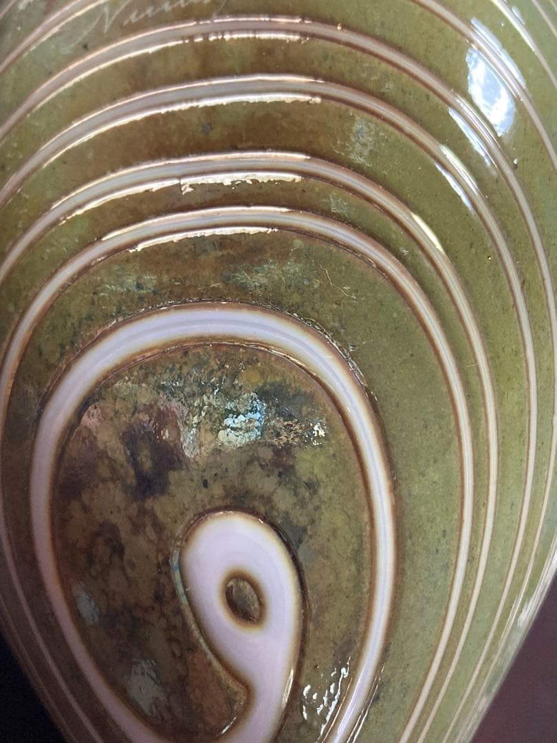 so16Nuutajärvi oiva Long-taled duck 緑