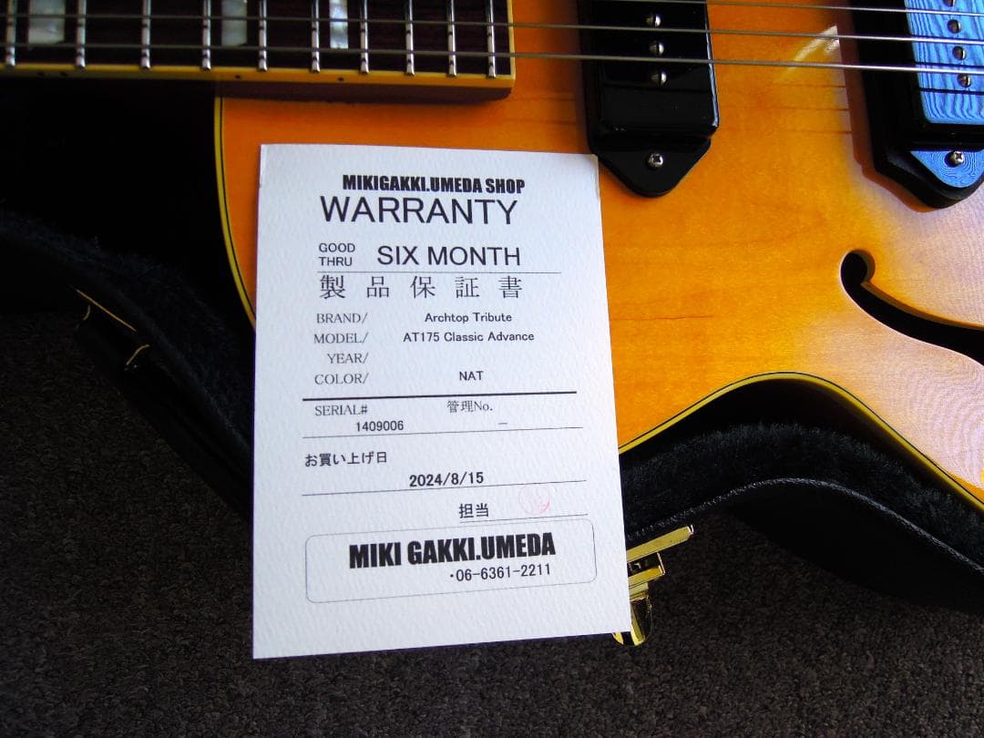 アーチトップ　トリビュート　AT175 Classic Advance フルアコ