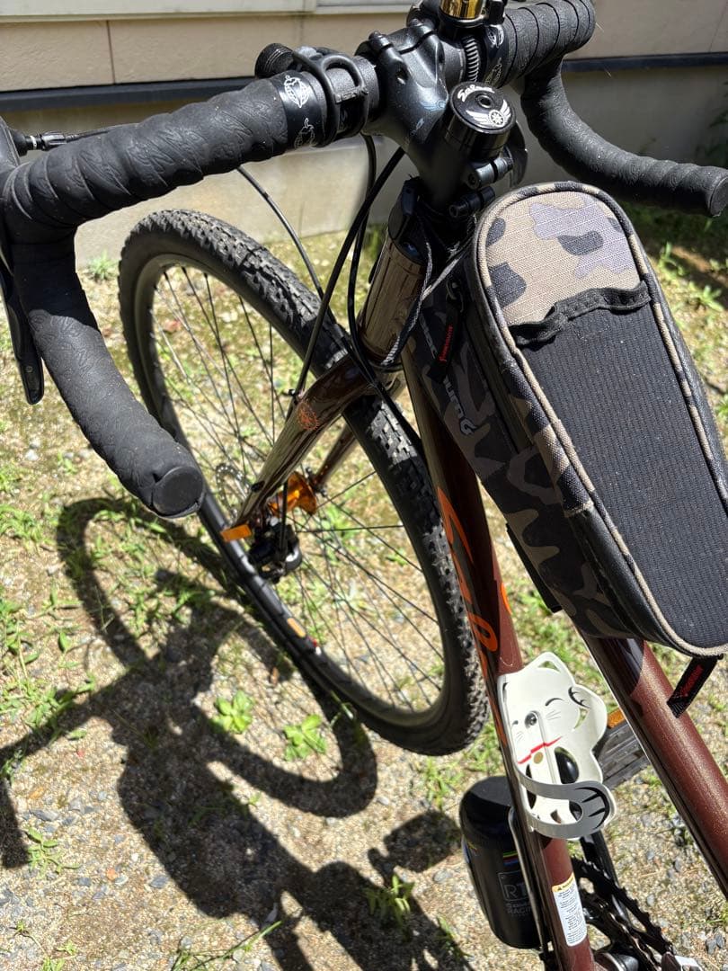 salsa サルサ　vaya